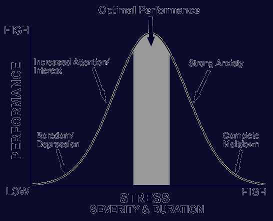 Why 'stepping out' of your comfort zone doesn't work and what to do instead