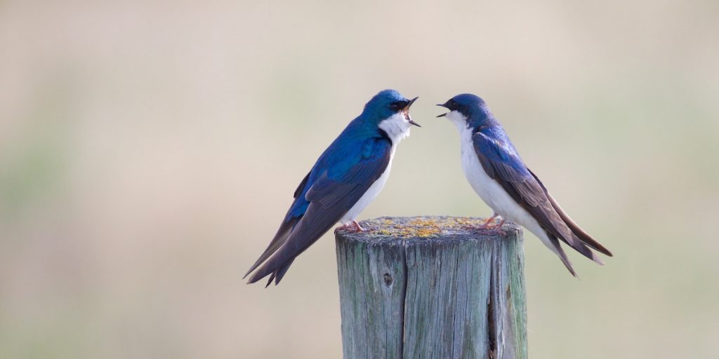 Not Getting Along with Your Spouse, or a Coworker? Here’s Why