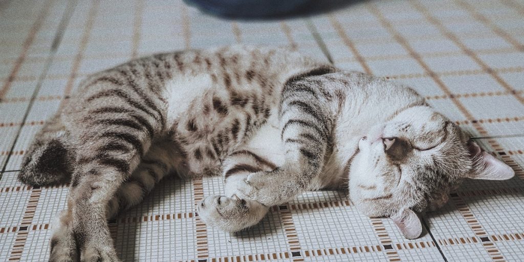 How to Take the Perfect Nap, According to Science