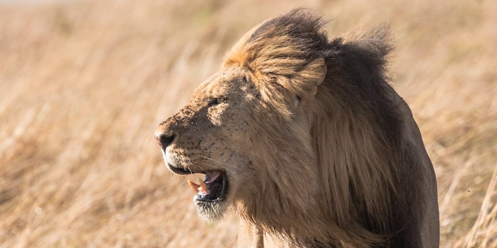 How to Practice Emotional Courage—and Become a Better Leader
