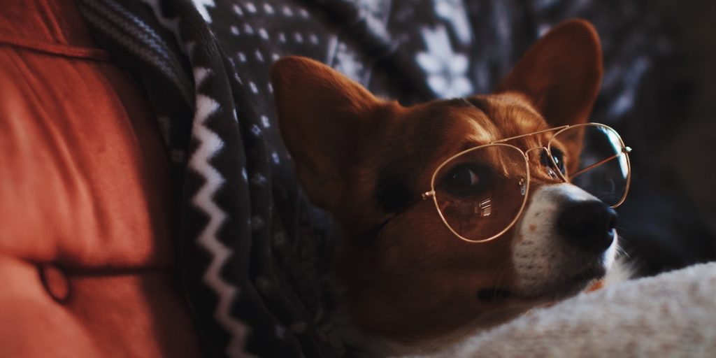 How to Stop Procrastinating and Finally Get It Done