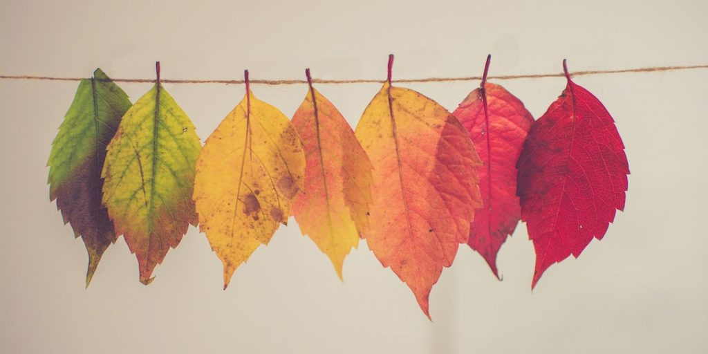 Yes, People Can Change—and These 5 Books Prove It