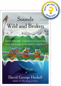 Sounds Wild and Broken: Sonic Marvels, Evolution's Creativity, and the Crisis of Sensory Extinction By David George Haskell