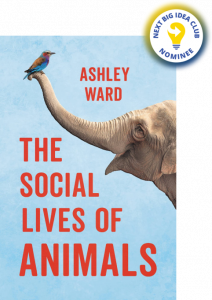The Social Lives of Animals By Ashley Ward