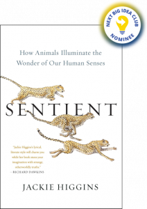 Sentient: How Animals Illuminate the Wonder of Our Human Senses By Jackie Higgins