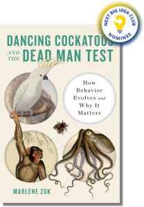 Dancing Cockatoos and the Dead Man Test: How Behavior Evolves and Why it Matters Marlene Zuk