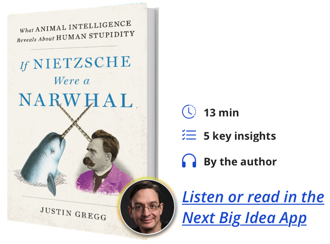 If Nietzsche Were a Narwhal: What Animal Intelligence Reveals About Human Stupidity By Justin Gregg