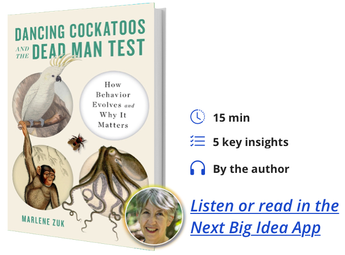 Dancing Cockatoos and the Dead Man Test: How Behavior Evolves and Why it Matters By Marlene Zuk