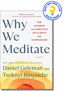 Why We Meditate: The Science and Practice of Clarity and Compassion By Daniel Goleman & Tsoknyi Rinpoche