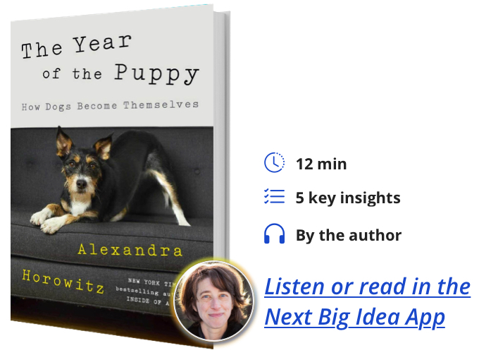 The Year of the Puppy: How Dogs Become Themselves By Alexandra Horowitz