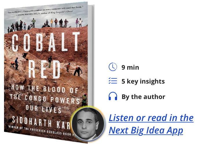 Cobalt Red Siddharth Kara Next Big Idea Club