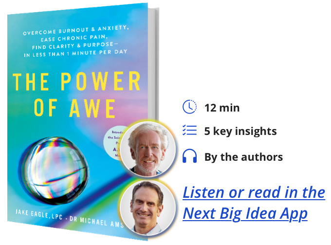 The Power of Awe: Overcome Burnout & Anxiety, Ease Chronic Pain, Find Clarity & Purpose—In Less Than 1 Minute Per Day By Jake Eagle & Michael Amster