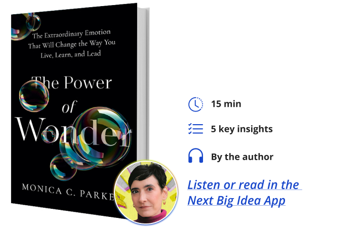 The Power of Wonder: The Extraordinary Emotion that Will Change the Way You Live, Learn and Lead By Monica Parker Next Big Idea Club