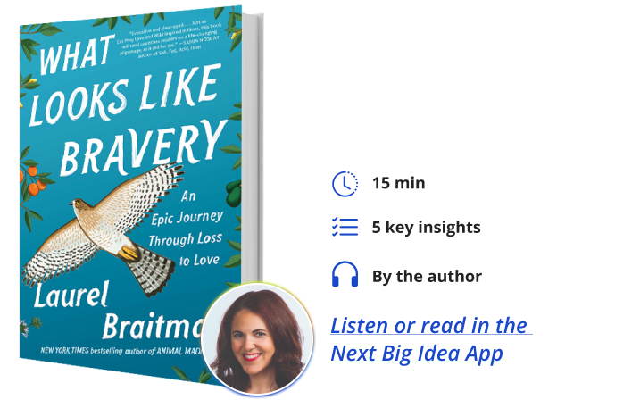 What Looks Like Bravery: An Epic Journey from Loss to Love By Dr. Laurel Braitman Next Big Idea Club
