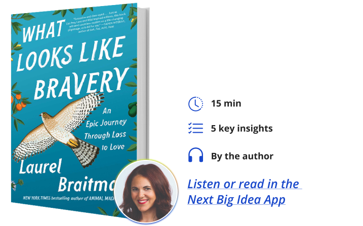 What Looks Like Bravery, Book by Laurel Braitman, Official Publisher Page