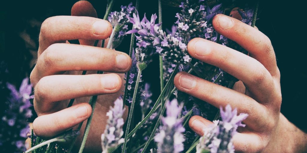 SENSES: Gretchen Rubin’s Guide to Getting Out of Your Head and Into the World