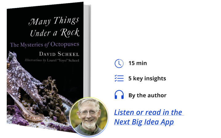 Many Things Under a Rock: The Mysteries of Octopuses By David Scheel Next Big Idea Club