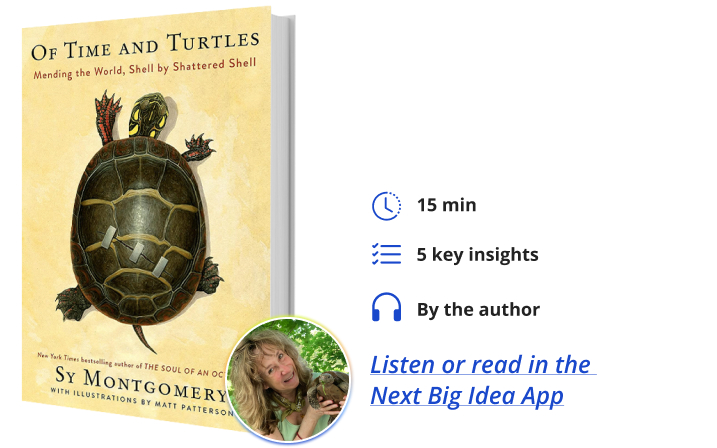 Of Time and Turtles: Mending the World, Shell by Shattered Shell By Sy Montgomery Next Big Idea Club