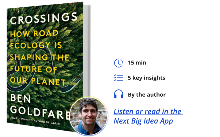 Crossings' explores the science of road ecology