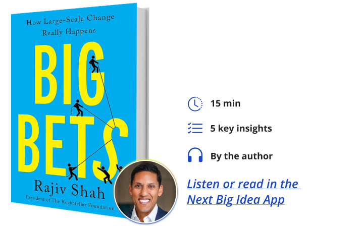 Big Bets: How Large-Scale Change Really Happens By Raj Shah Next Big Idea Club