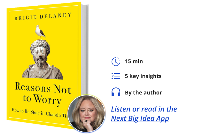 Reasons Not to Worry: How to Be Stoic in Chaotic Times By Brigid Delaney Next Big Idea Club