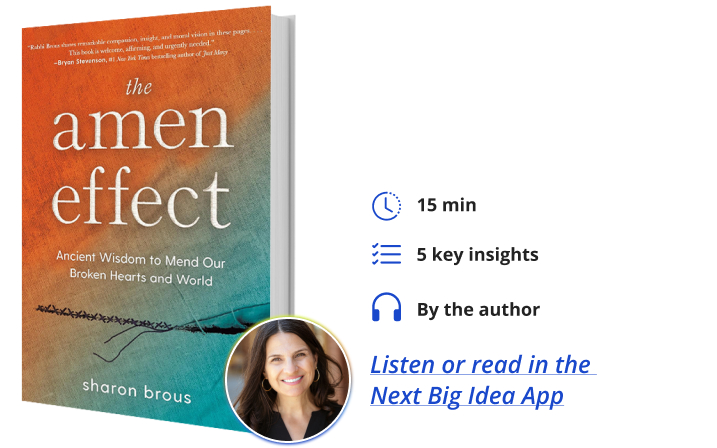 The Amen Effect Sharon Brous Next Big Idea Club