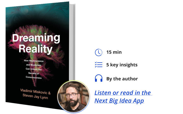 Dreaming Reality Vladimir Miskovic Steven Jay Lynn Next Big Idea Club Book Bite