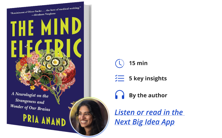 The Mind Electric Pria Anand Next Big Idea Club Book Bite