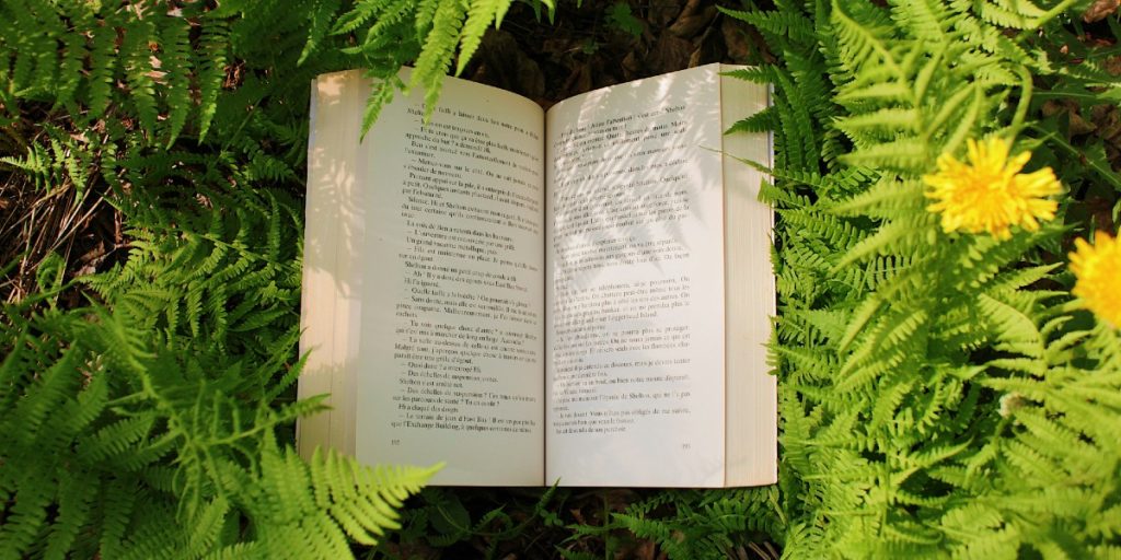 The Next Big Idea Club’s September 2025 Must-Read Books