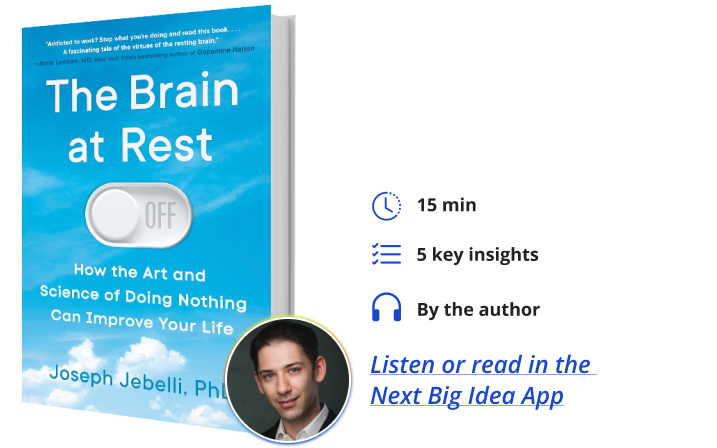 The Brain at Rest Joseph Jebelli Next Big Idea Club Book Bite