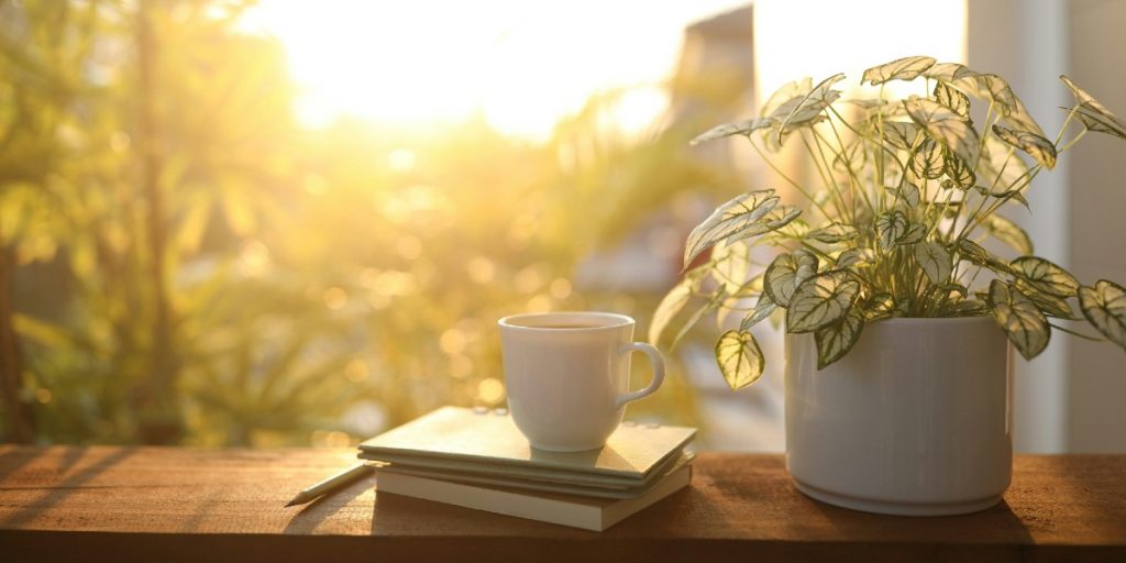 6 New Books That See Sustainability on the Horizon