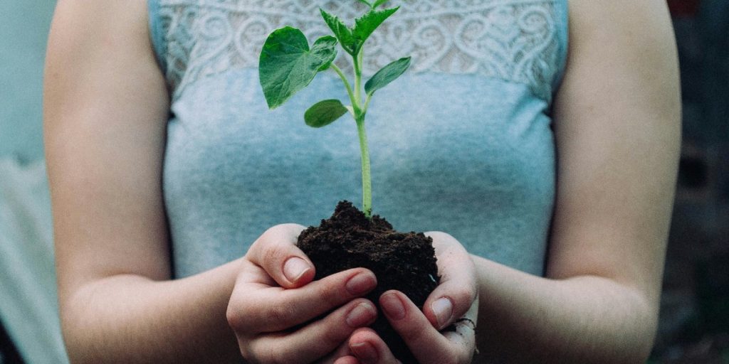 What Our Carbon Past Reveals About Humanity’s Future