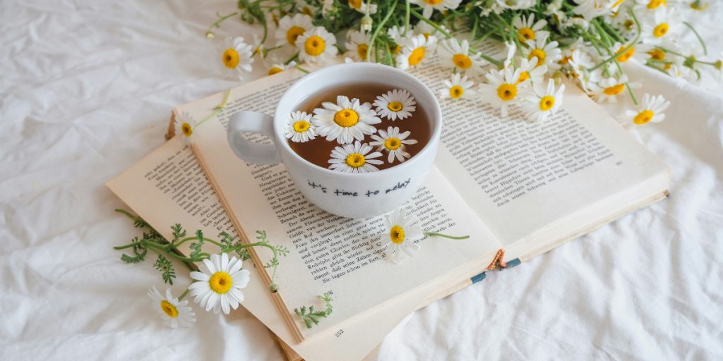 The Next Big Idea Club’s March 2026 Must-Read Books