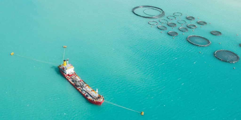 How to Heal Our Oceans: A Guide for Protectors