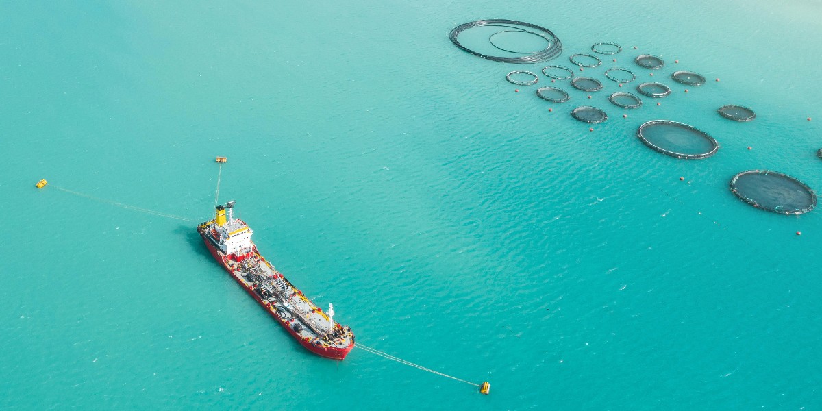 How to Heal Our Oceans: A Guide for Protectors