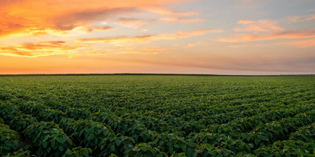 The Immovable $180 Trillion Dollar Asset That Shapes Our World