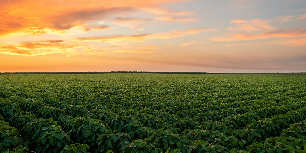 The Immovable $180 Trillion Dollar Asset That Shapes Our World