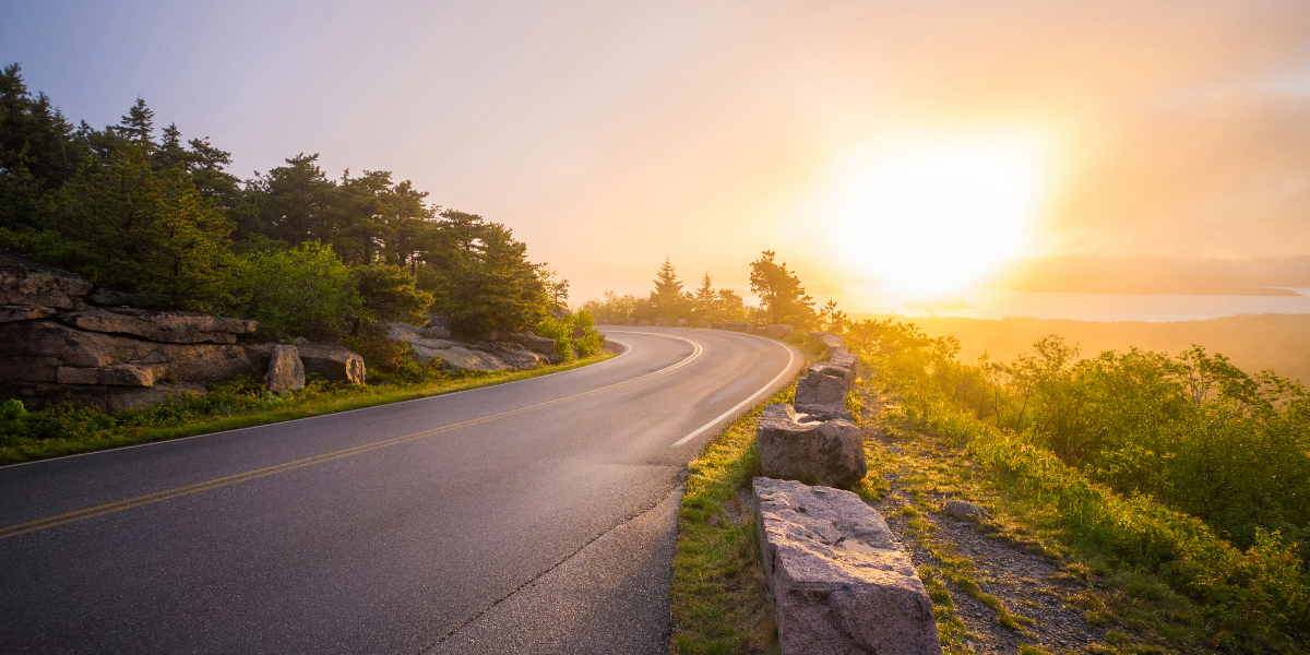 A Neuroscientist’s Guide to Becoming Stronger After Life Falls Apart