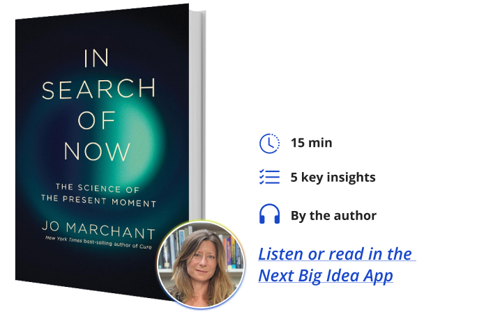 In Search of Now Jo Marchant Next Big Idea Club Book Bite