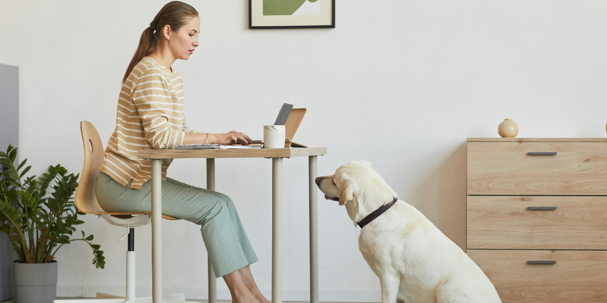The Anti-Busy Formula for Getting Things Done and Making Space for Fun