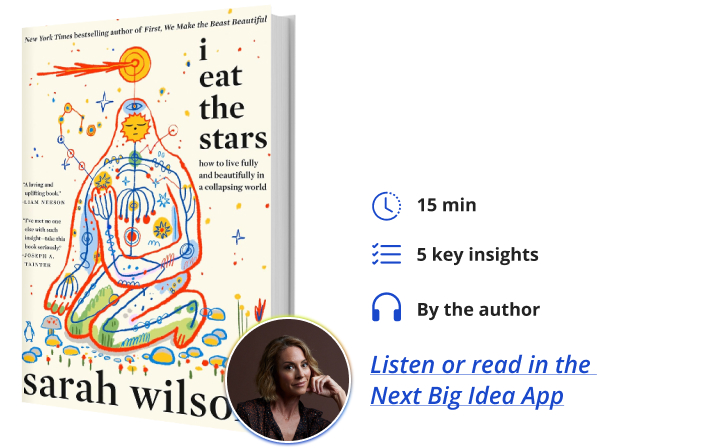 I Eat the Stars Sarah Wilson Next Big Idea Club Book Bite