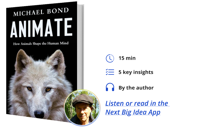 Animate Michael Bond Next Big Idea Club Book Bite