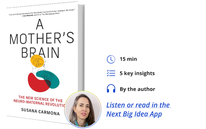 A Mother's Brain Susana Carmona Next Big Idea Club Book Bite