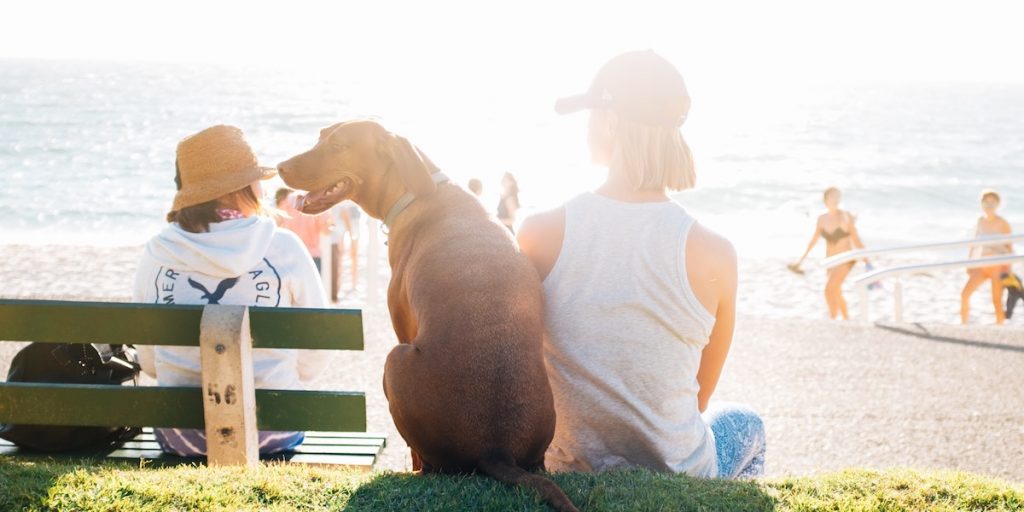 Three Simple Habits that Boost Your Happiness, According to Science
